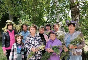 «Цветы полевые, цветы луговые»