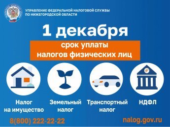 Срок уплаты налогов - 1 декабря!