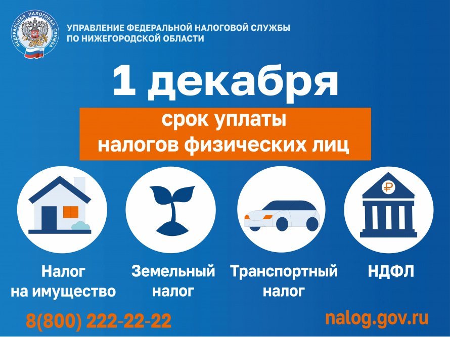 Срок уплаты налогов - 1 декабря!